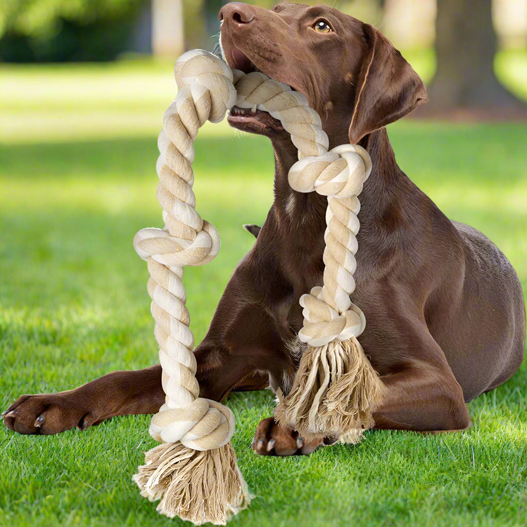 Dog Rope Toy for Dogs Who Love to Chew | Safe and Durable for Large and Medium Dogs