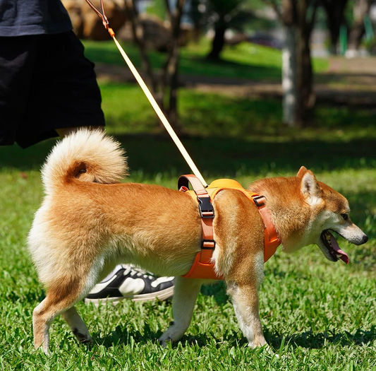 WalkEase Pro™ | All in one Dog Harness and Leash Set - Rover Rituals