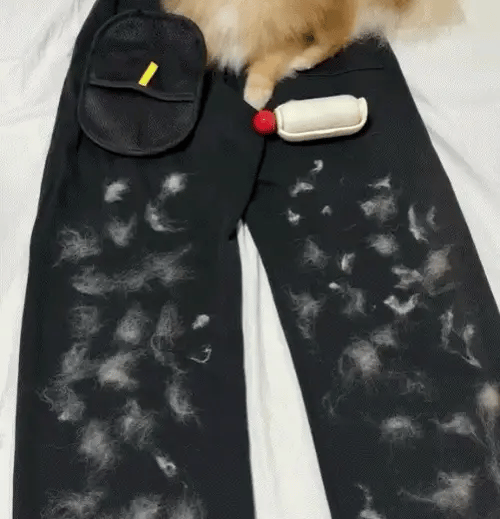 LintAway™ Ultimate Fur Removal Glove | Dog Brush