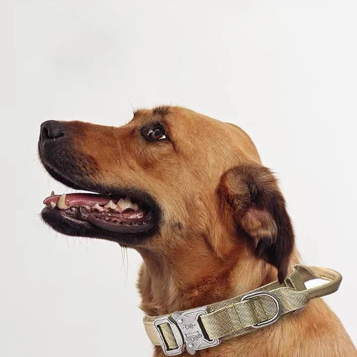Matching Tactical Dog Collar and Leads & Collar Leash Sets