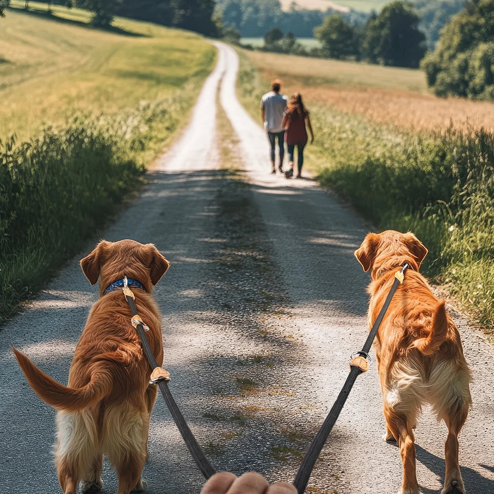 Hands free shoulder strap dog lead leash 2.1m High Quality - Rover Rituals