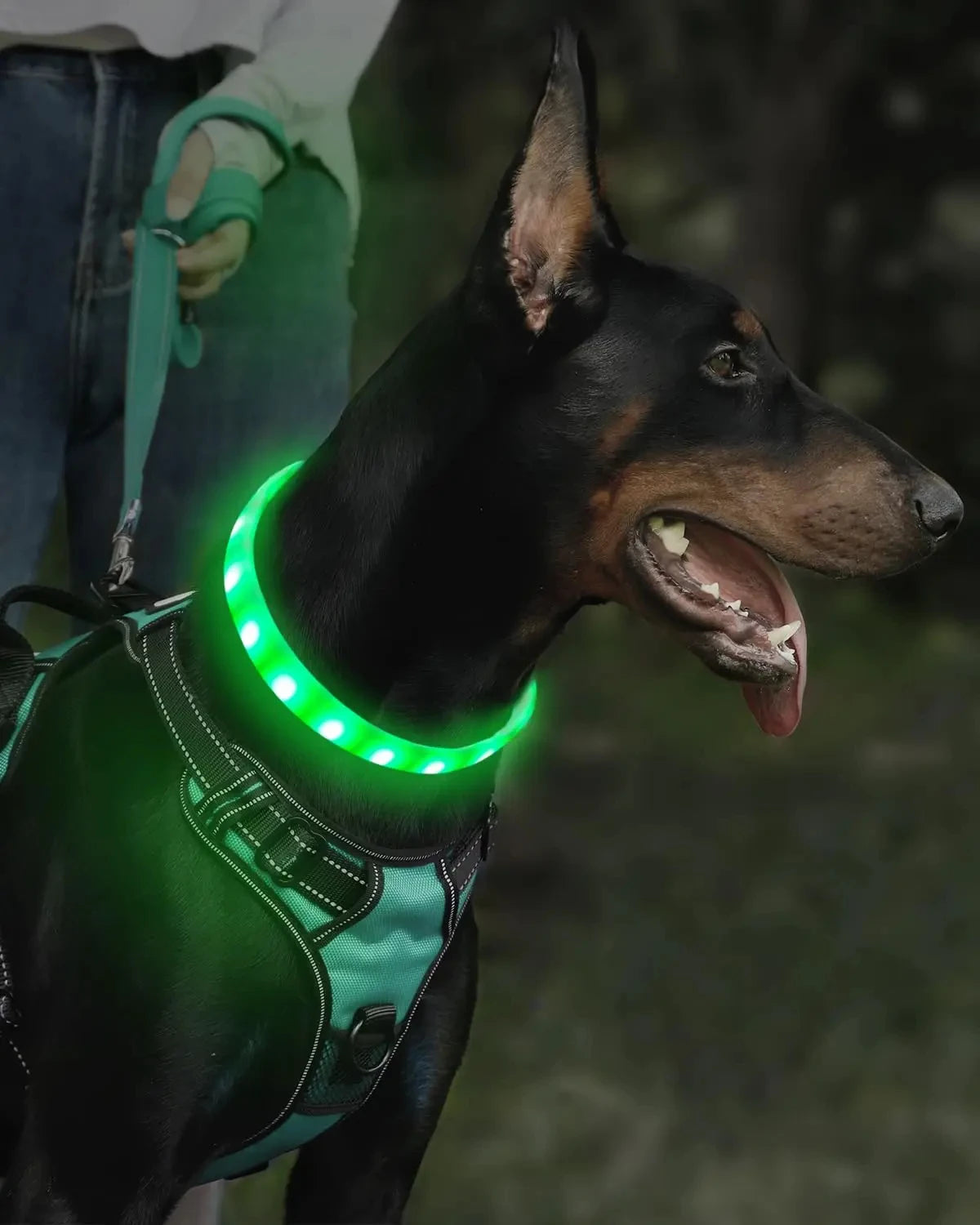 USB Rechargeable Glowing Collar for Dogs 9 modes