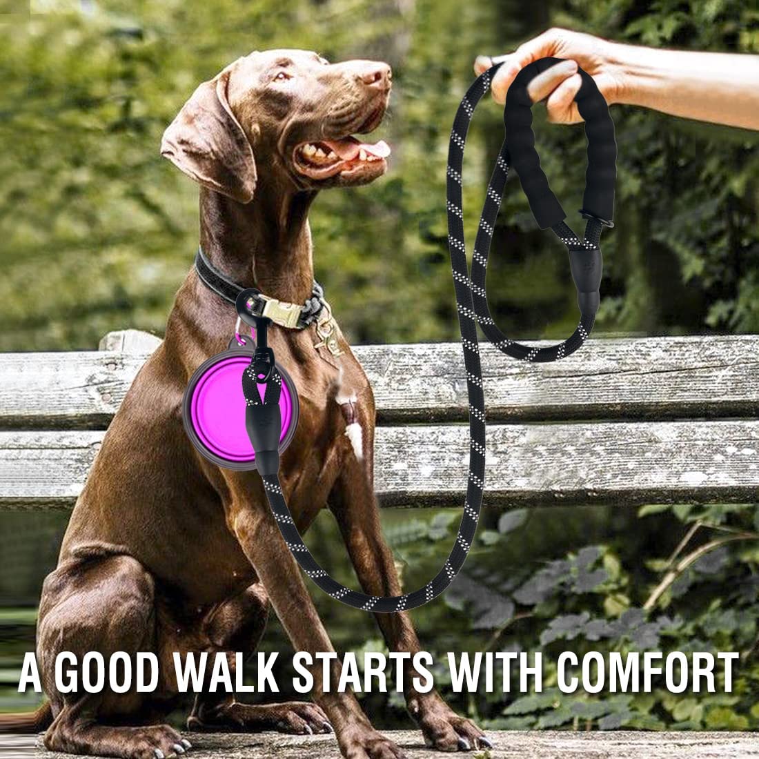 Reflective dog lead