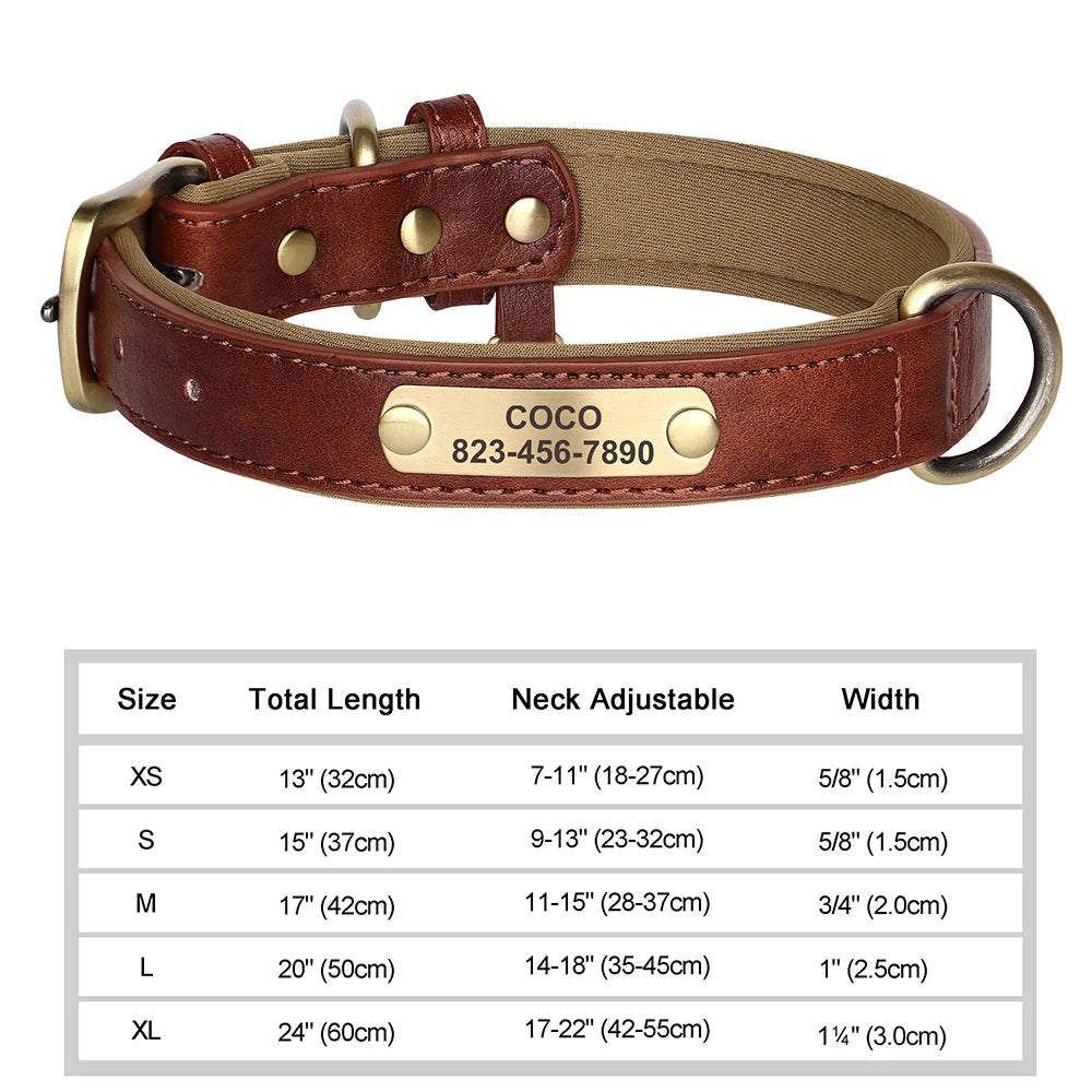 Personalized Dog Collars with Name Customizable ID Tag Nameplate