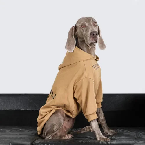 Essential Dog Hoodie Fleece Dog Clothes