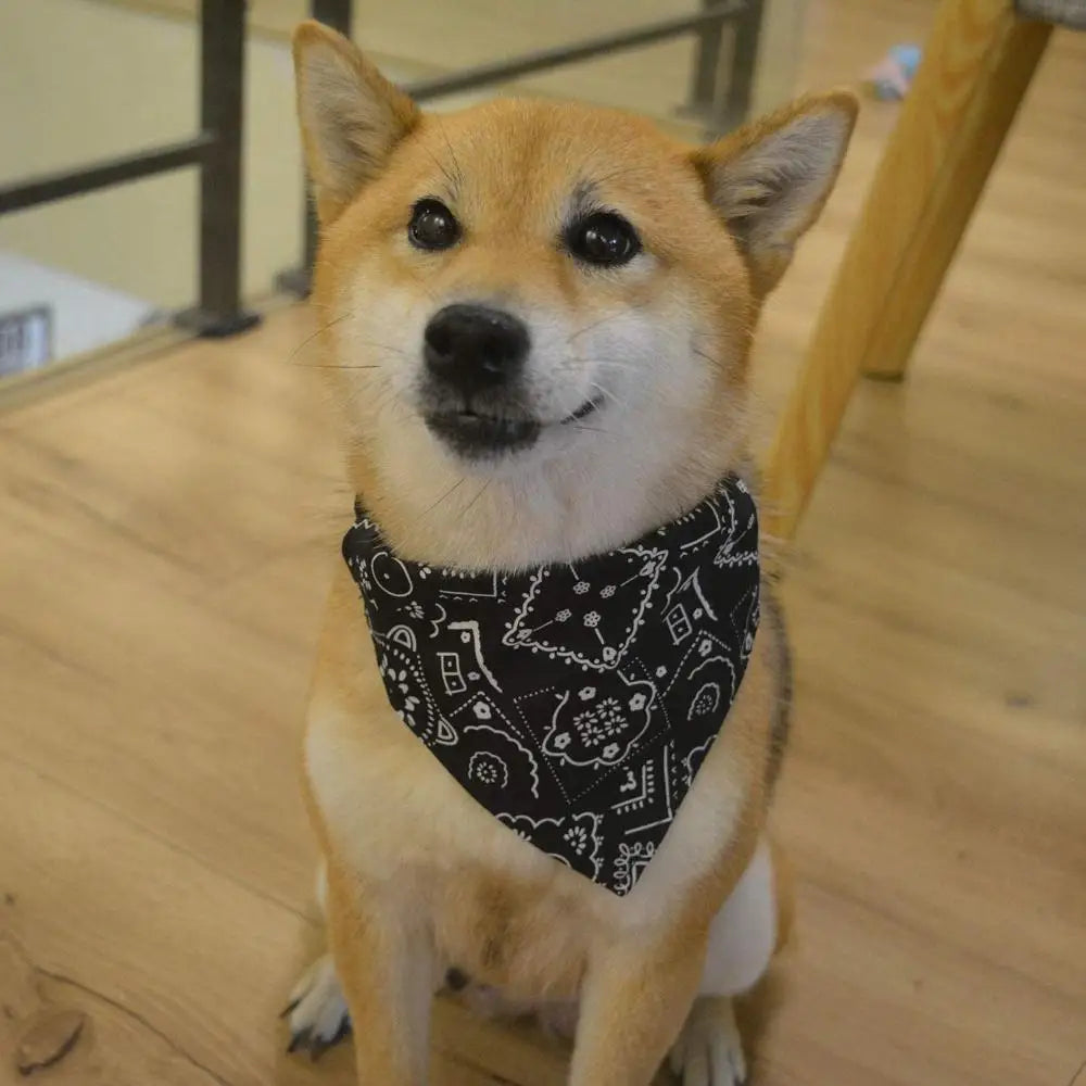 Dog Bandana Dog Scarf with buckle | Dog Clothes
