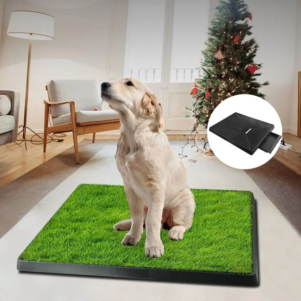 Dog grass pee pad toilet with removable waste tray