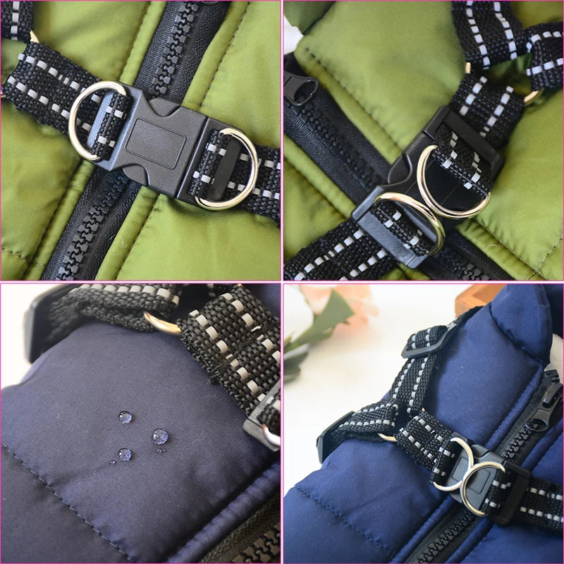 Dog Jacket With Harness Dog Clothes