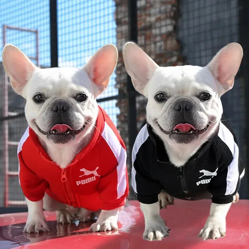 Sports Zip Dog Sweater Dog Clothes