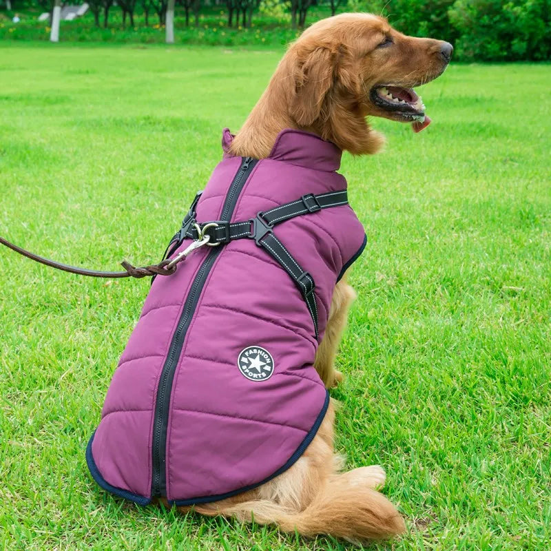 Dog Jacket With Harness Dog Clothes