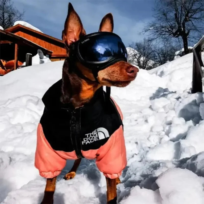 Rover Rituals | Dog Puffer Jacket – Warm, Windproof & Stylish Winter Coat