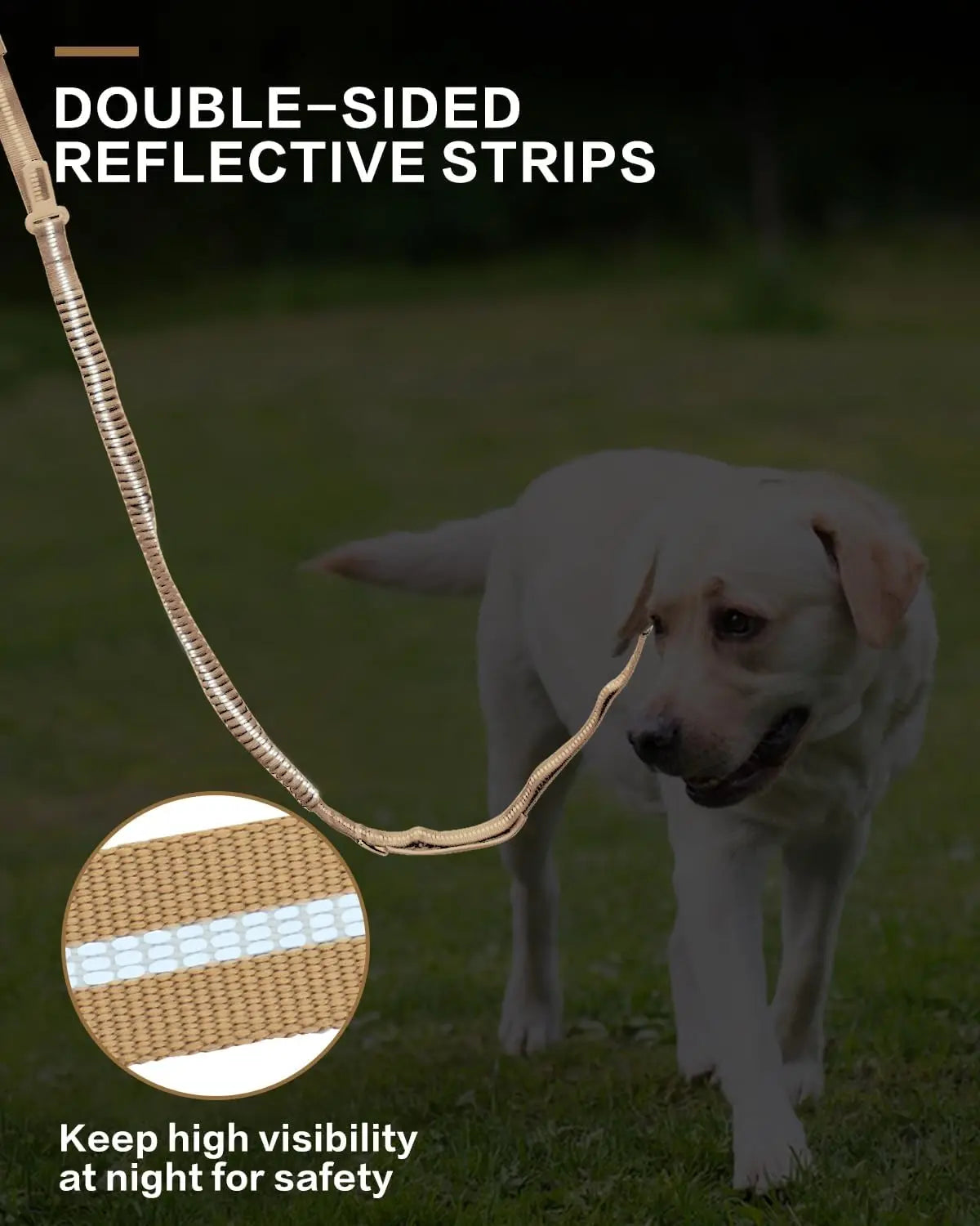 heavy duty 2 in 1 dog car seat belt buckle bungee restraint and leash