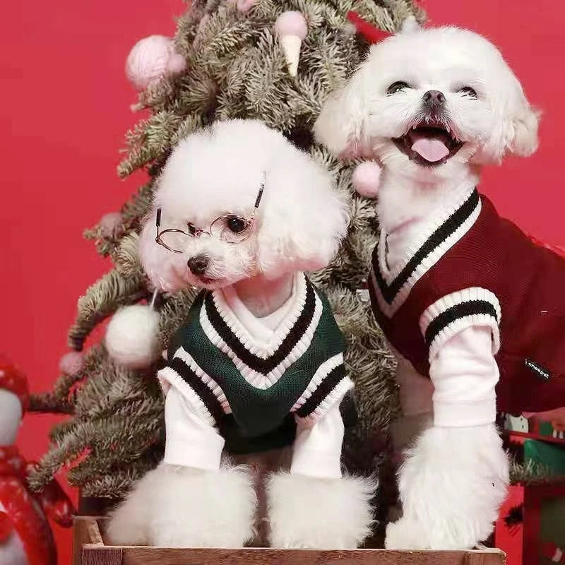 Winter Warm Dog Sweater College Style V-neck Knitwear Coat | Dog Clothes