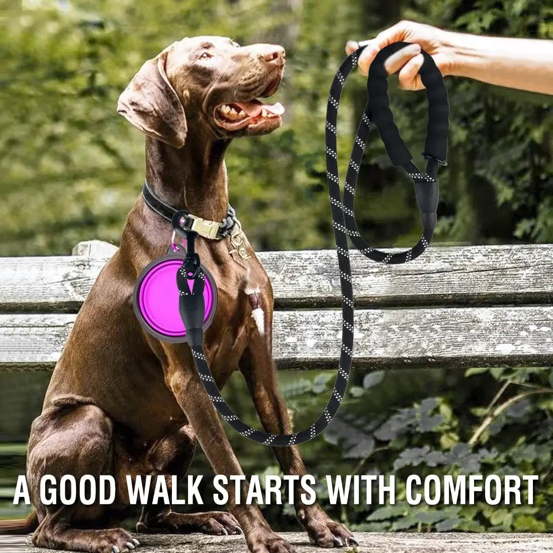 Reflective dog lead