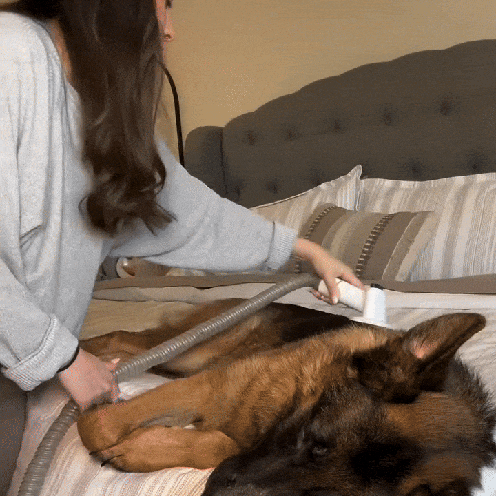 WhisperGroom™ | Kit de aspiradora para el cuidado de perros