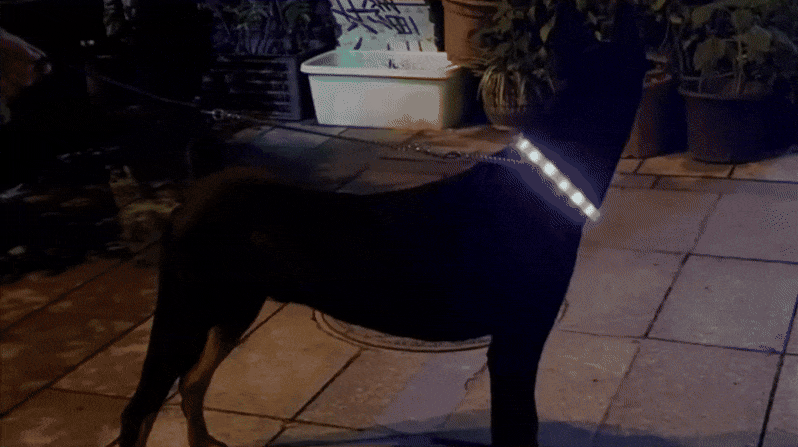 USB Rechargeable Glowing Collar for Dogs 9 modes