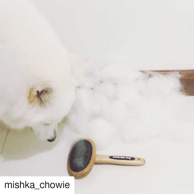 Natural Bamboo Fine Pin Dematting Brush | Dog Brush Grooming Tool