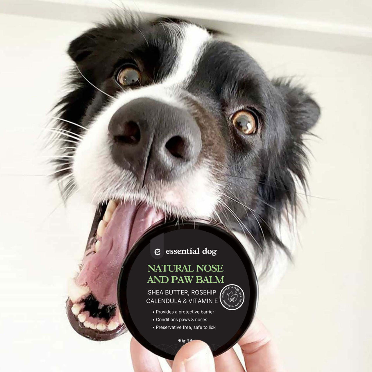Bálsamo natural para nariz y patas de perro (50 g)