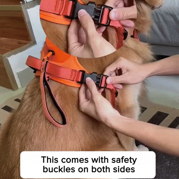 WalkEase Pro™ | All in one Dog Harness and Leash Set