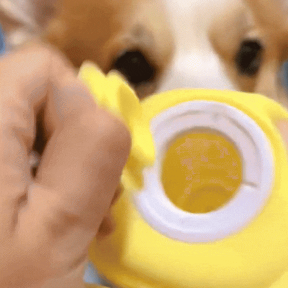 Rover Rituals | Dog Bathing Brush Pet Massage Brush Shampoo Dispenser Soft Silicone Brush