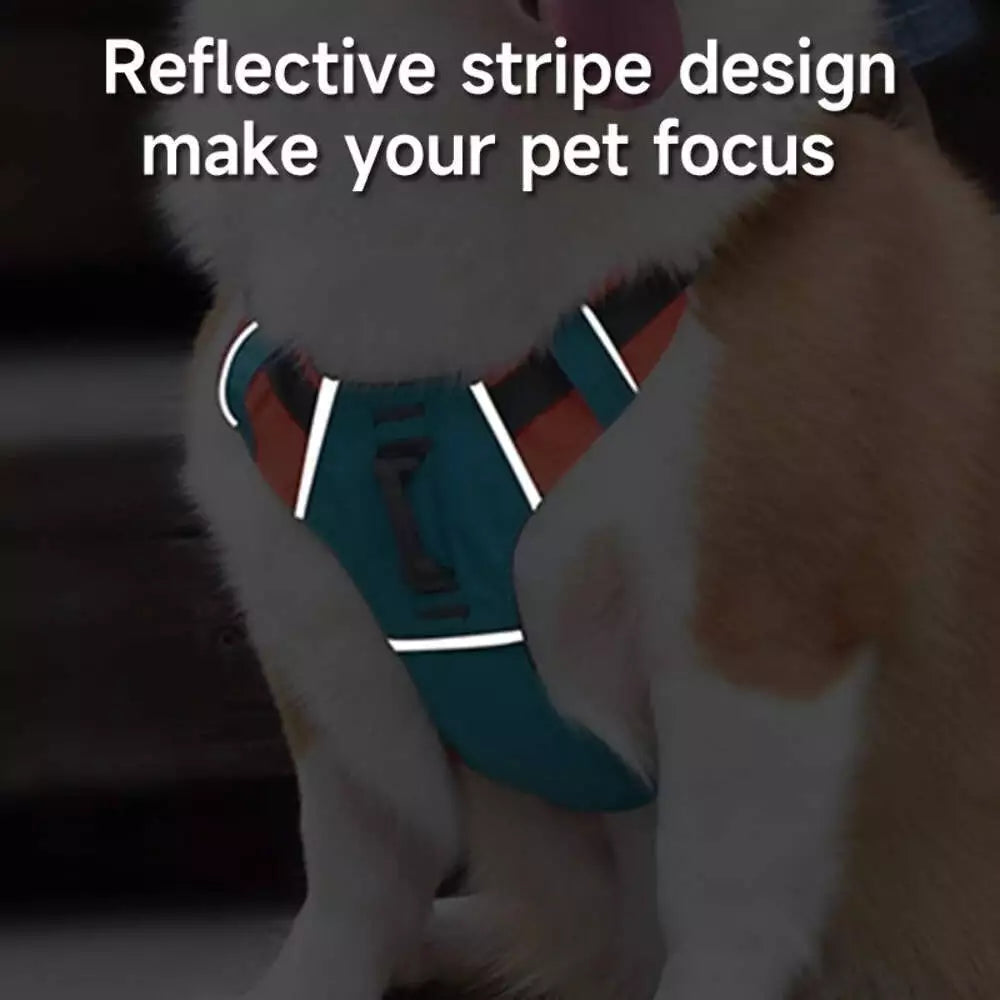 WalkEase Pro™ | All in one Dog Harness and Leash Set