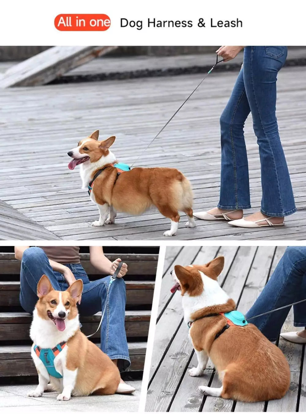 WalkEase Pro™ | All in one Dog Harness and Leash Set