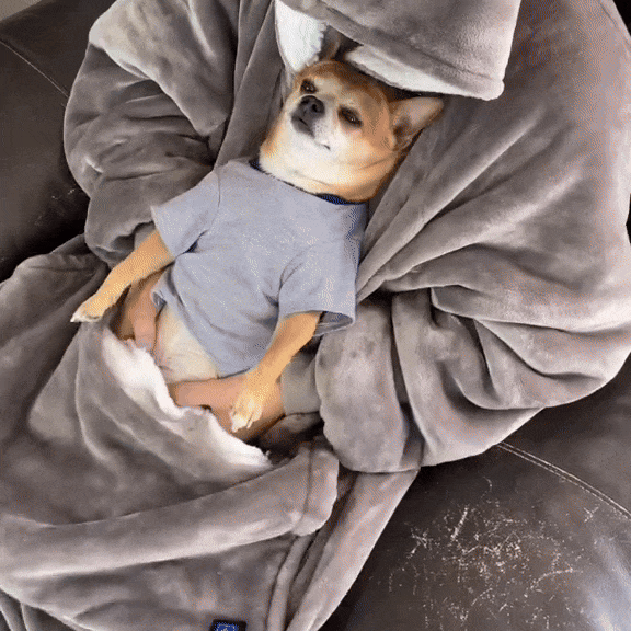 HugBuddy™ Comfort Hoodie | Oversized Heated Hoodie with Pocket for Pets!