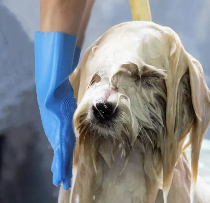 Dog Brush Grooming Bath Washing Gloves