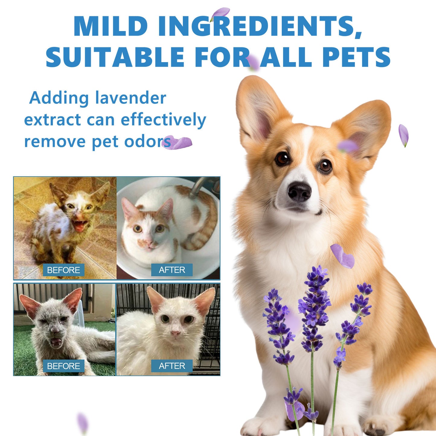 Líquido limpiador natural y seguro para mascotas | Aceite esencial desionizado y esterilizado (20 ml)