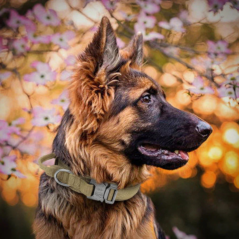 Top Tactical Dog Leash and Collars: Durable, Heavy-Duty Gear for All Dogs