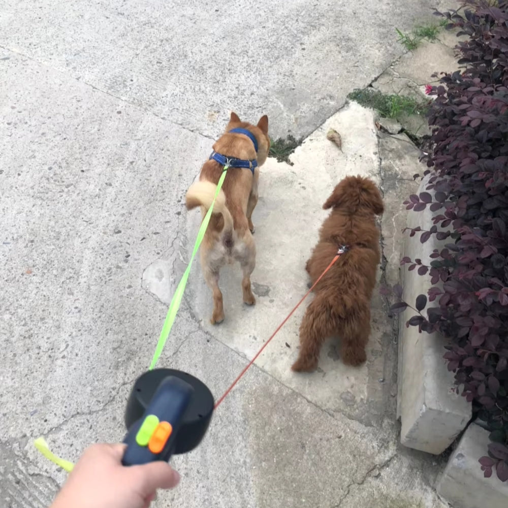 TangleFree Duo Retractable Double Dog Leash