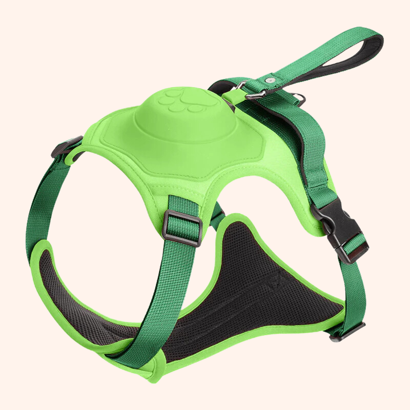 Rover Rituals | WalkEase Pro | All in one dog harness & leash
