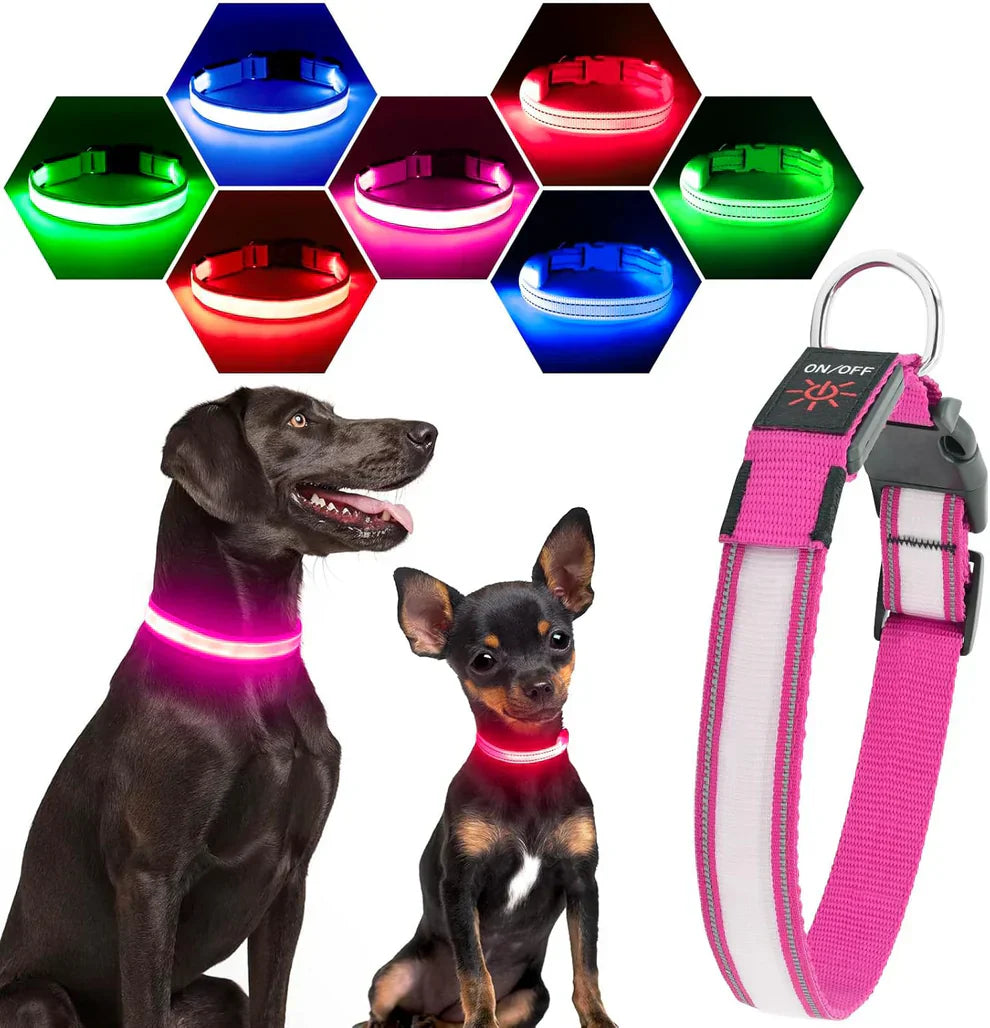 Rover Rituals | SafeShine Collar | Rechargeable glowing LED dog collar for safety night walks