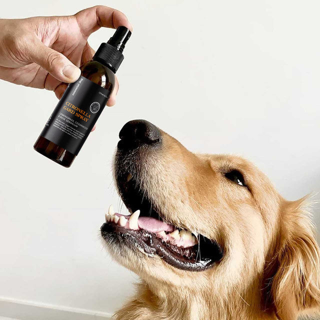 Desodorante orgánico para perros con citronela en spray Gard: limoncillo, cedro y geranio rosado 