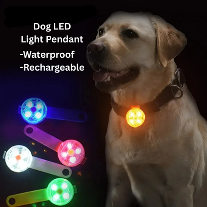 LED Dog Collar Pendant Night Safety USB Rechargeable with Light Waterproof | Dog Collars