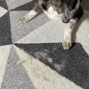 LintAway™ Ultimate Fur Removal Glove | Dog Brush