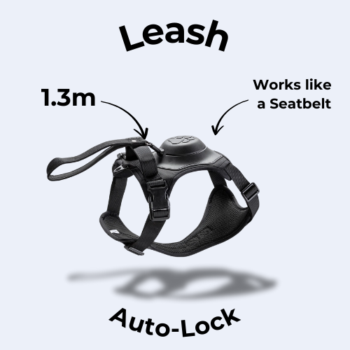 Rover Rituals | WalkEase Pro | All in one dog harness & leash