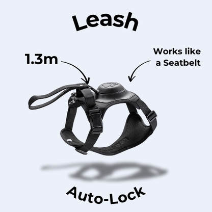 Rover Rituals | WalkEase Pro | All in one dog harness & leash