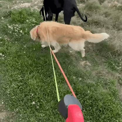 TangleFree Duo™️ Retractable Double Dog Leash for small medium dogs