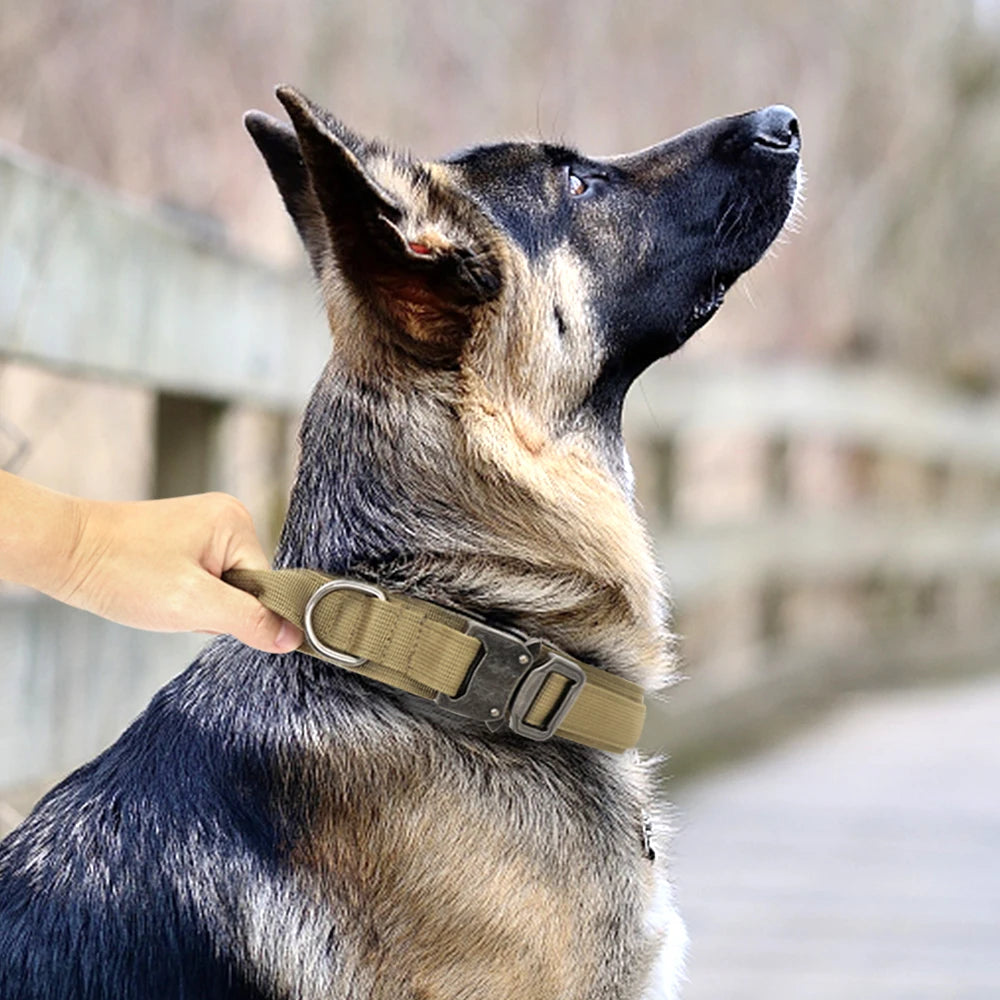 Durable Tactical Dog Collar and Leash Set