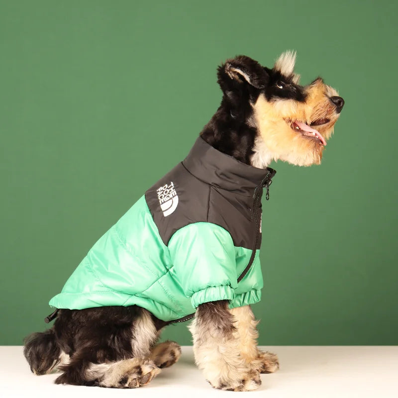 Rover Rituals | Dog Puffer Jacket – Warm, Windproof & Stylish Winter Coat