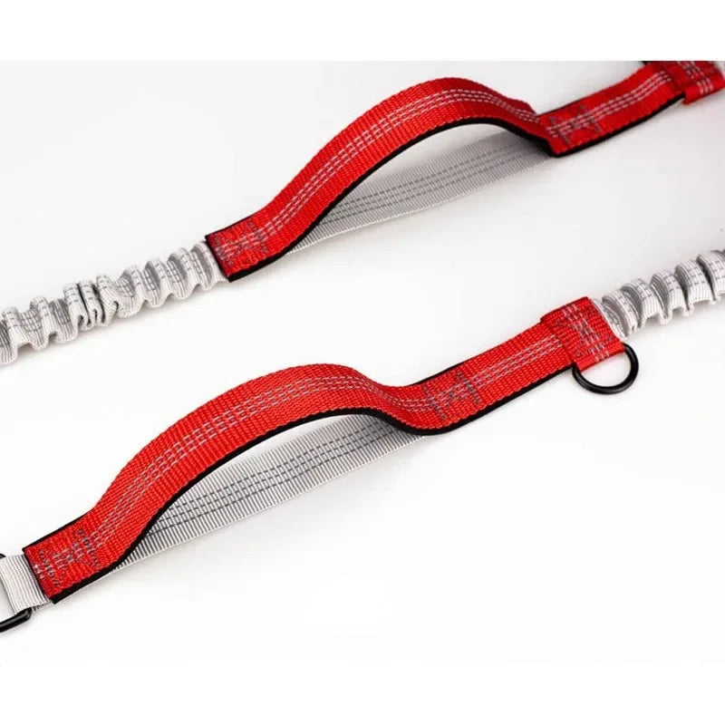 Heavy-Duty Reflective Bungee Dog Running Leash – Shock Absorbing Traction Lead for Active Dogs