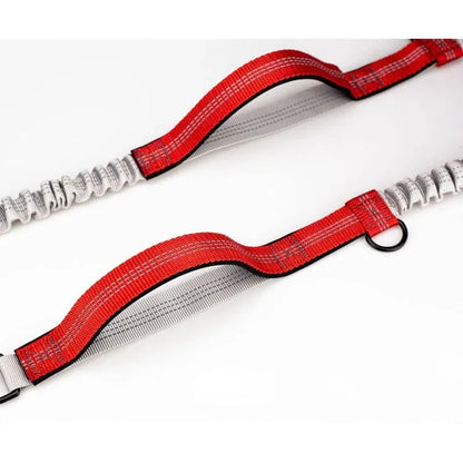Heavy-Duty Reflective Bungee Dog Running Leash – Shock Absorbing Traction Lead for Active Dogs