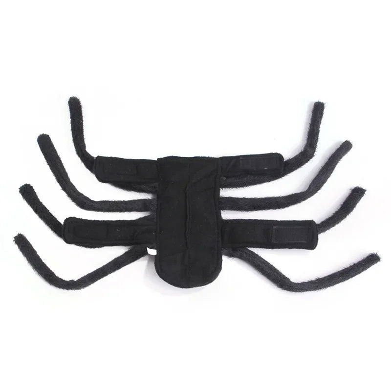 Spider Costume for Cats and Small to Medium Dogs