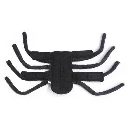 Spider Costume for Cats and Small to Medium Dogs