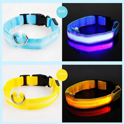 Rover Rituals | SafeShine Collar | Rechargeable glowing LED dog collar for safety night walks