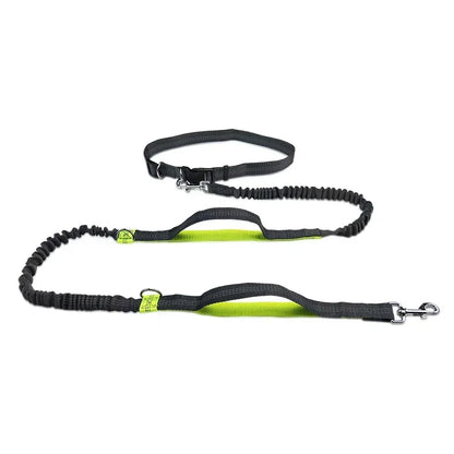 Heavy-Duty Reflective Bungee Dog Running Leash – Shock Absorbing Traction Lead for Active Dogs