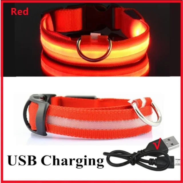 Rover Rituals | SafeShine Collar | Rechargeable glowing LED dog collar for safety night walks
