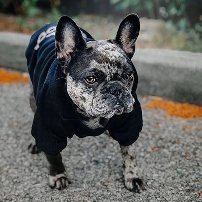 Dog Face Dog Hoodie Sweater Coat | Dog Clothes