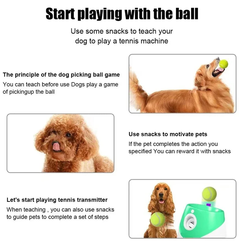 FetchMate™ Automatic Dog Ball Launcher | Ultimate Dog Toy